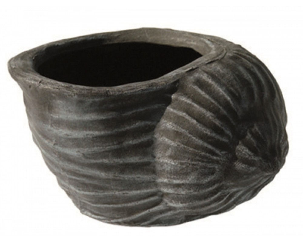 Decorațiune PE, vintage, model SCOICĂ, decoratiuni terasa